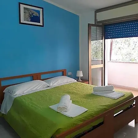 Hotel Nettuno 2*