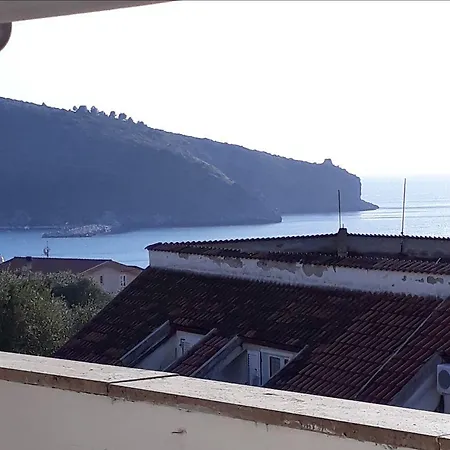 Nettuno パリヌロ